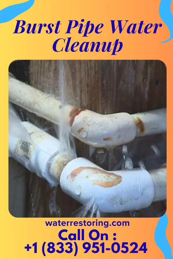 Burst Pipe Water Cleanup in Matawan, NJ