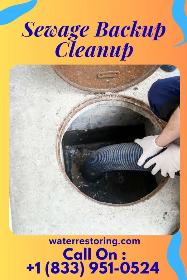 Sewage Backup Cleanup in Matawan, NJ