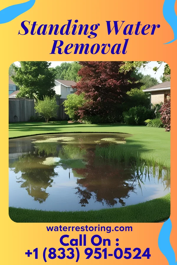 Standing Water Removal in Matawan, NJ
